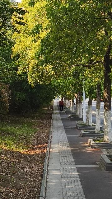 之前我心血来潮，没计划目的地就出发了。坐上火车，一路看着窗外景色变换，心情格外舒