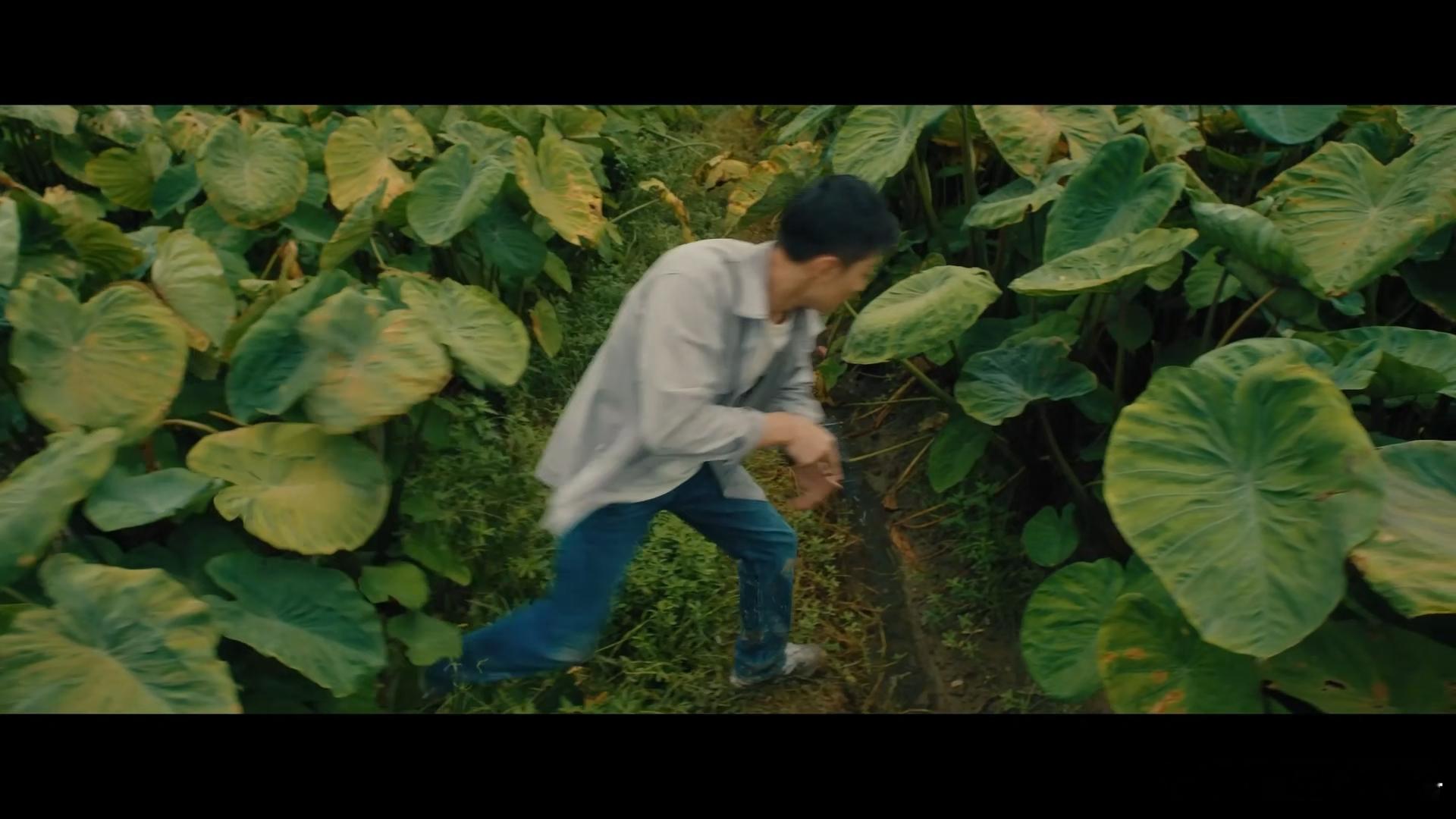 看王宥钧除恶这段观众可以呼吸 抓捕失败后王宥钧把懊悔与愤怒演得淋漓尽致，情绪张力