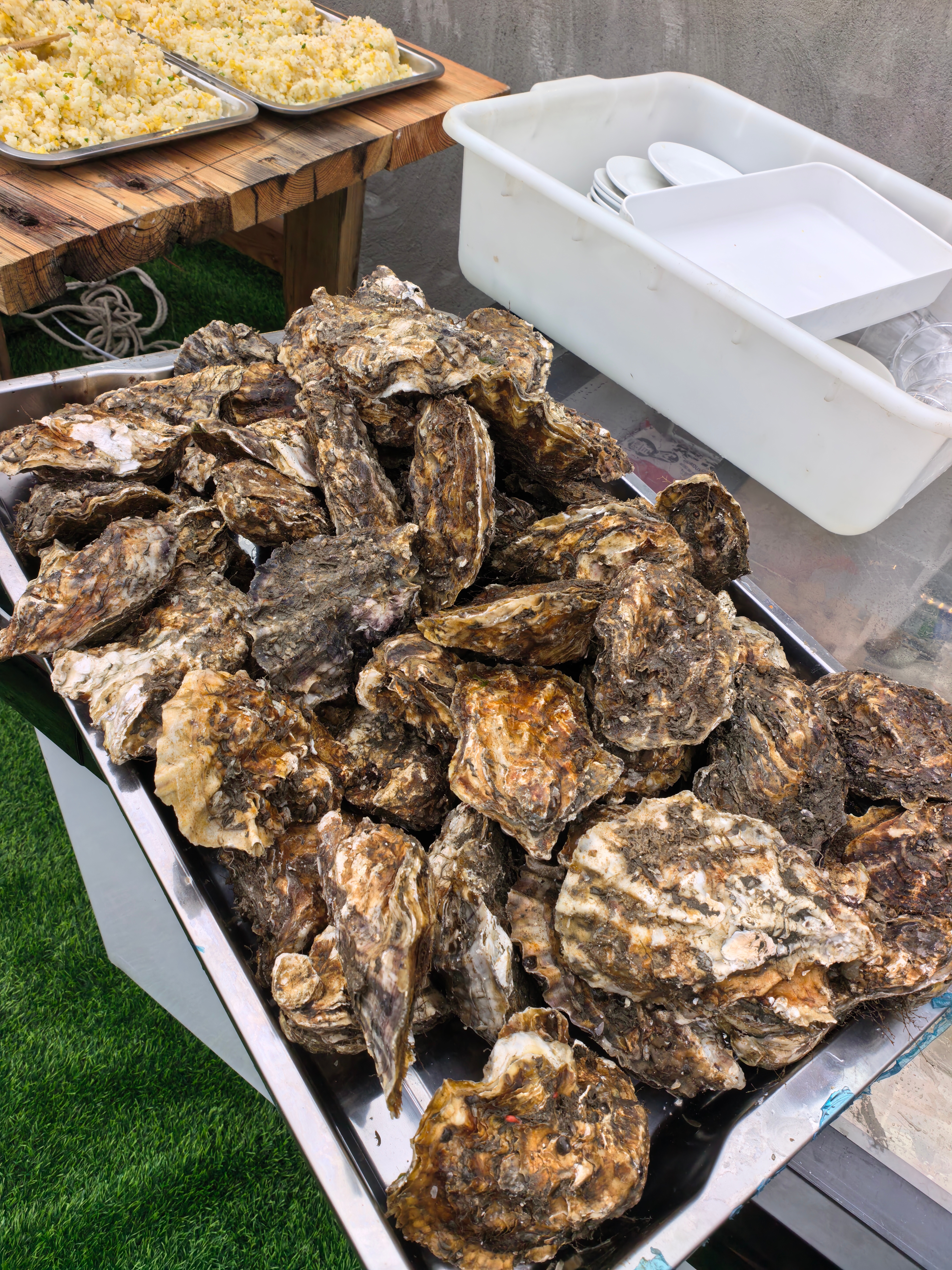 现在这生意太难做了中午海鲜大餐，管食宿接送晚上还有这么一顿自助烧烤老板还能赚钱吗