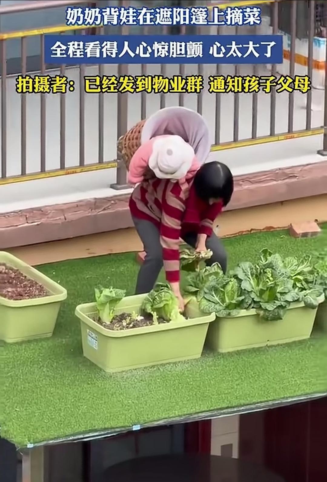 如果，万一，要是小孩子突然滑落下去了，请问，物业会不会有连带责任呢？
在遮阳篷上