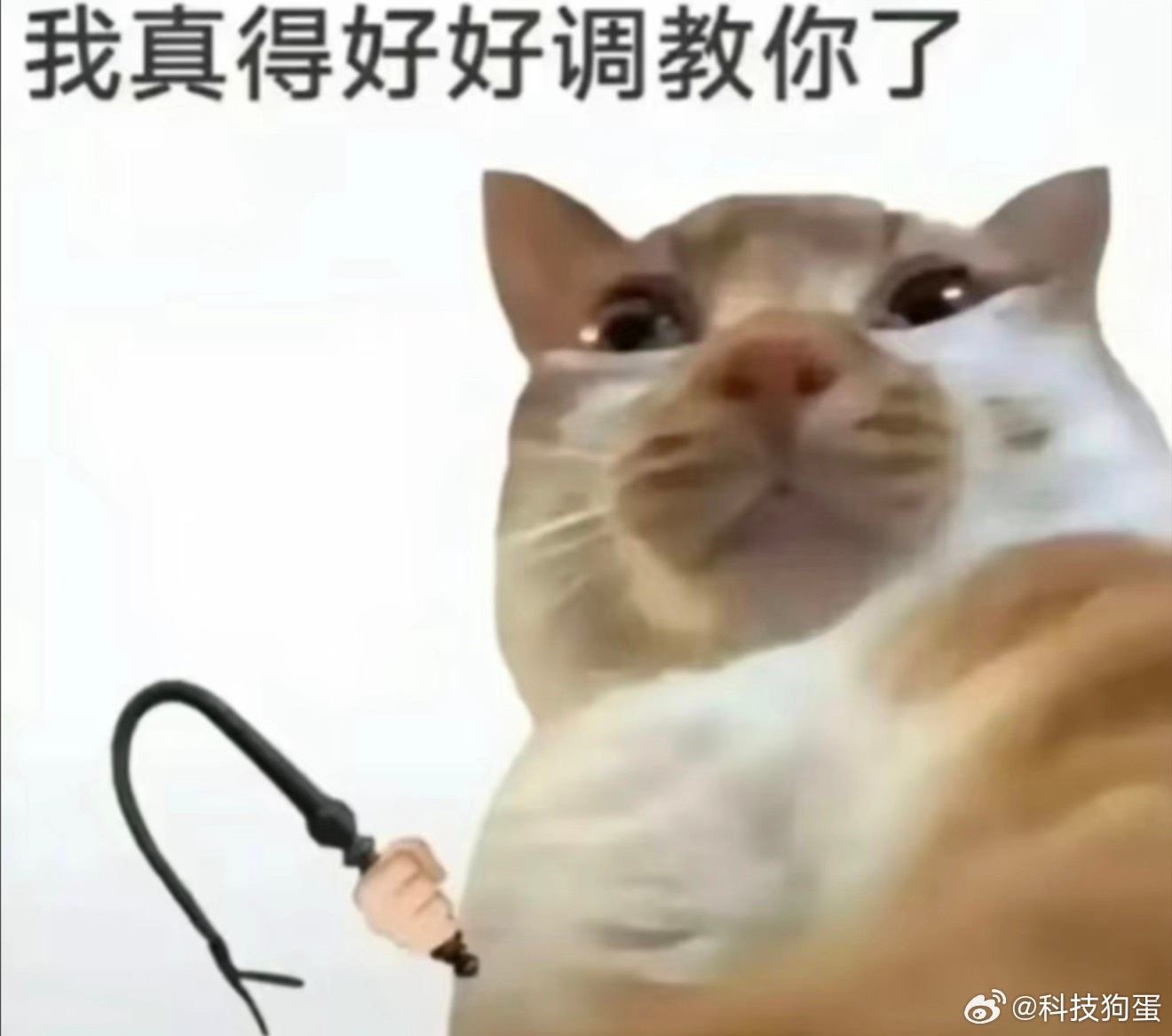 豆包 消极怠工那我可太有发言权了，比以前差太多，牛头不对马嘴的那种，一直说车轱辘