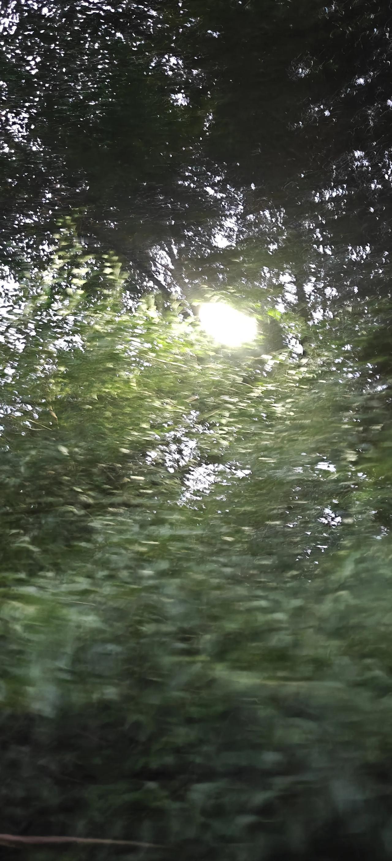 昨天孩子跟我视频，主要是看他服务地方的江景。

一看，还真是不错。江边人很多，修