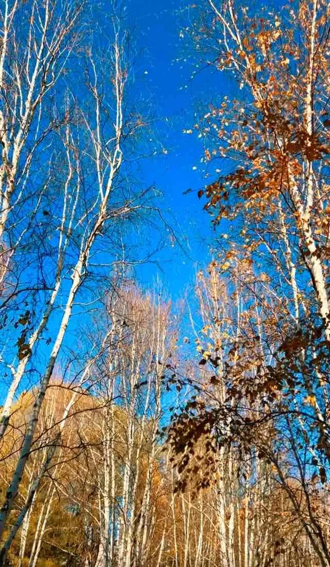 钱重要，还是命重要？有时候没钱不能治病！有时候，有钱买不来命！

乳腺结节不能生