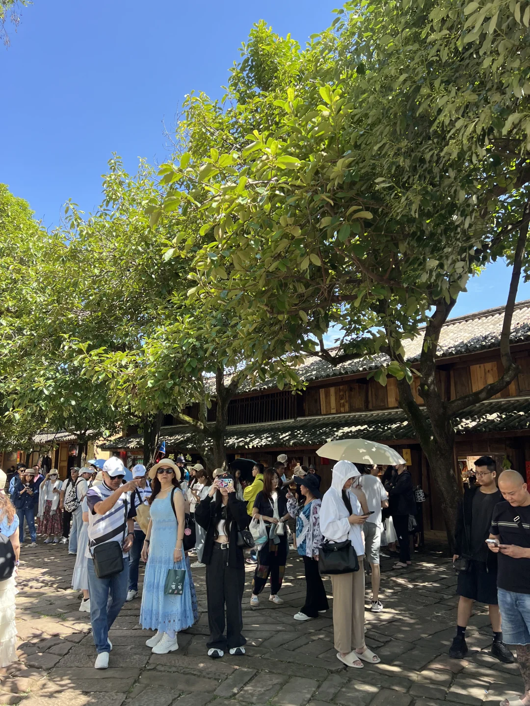 毫不夸张的说这几天来沙溪让我感受到了云南旅游迎来了旺季！全世界都朋友都...