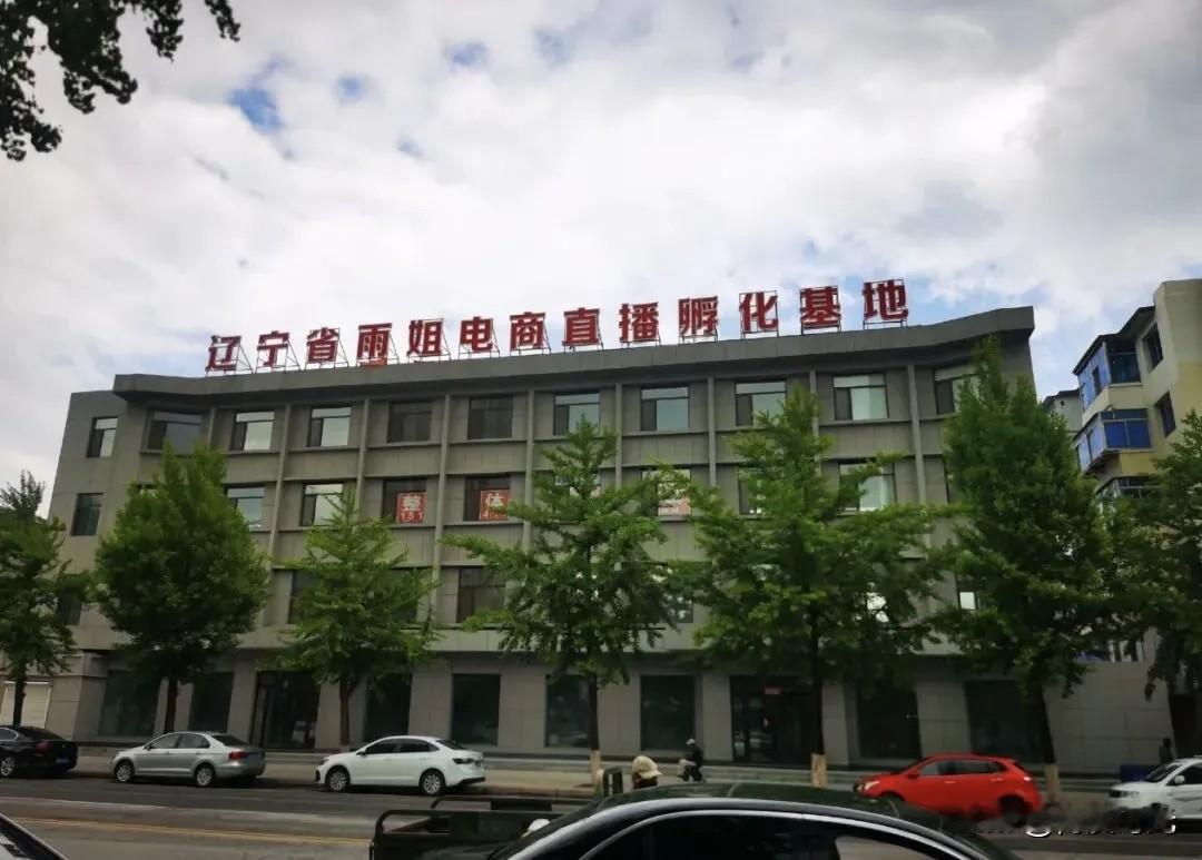 曾经红极一时的东北雨姐
如今真可谓跌落神坛。
2024年她事业巅峰时花1800万