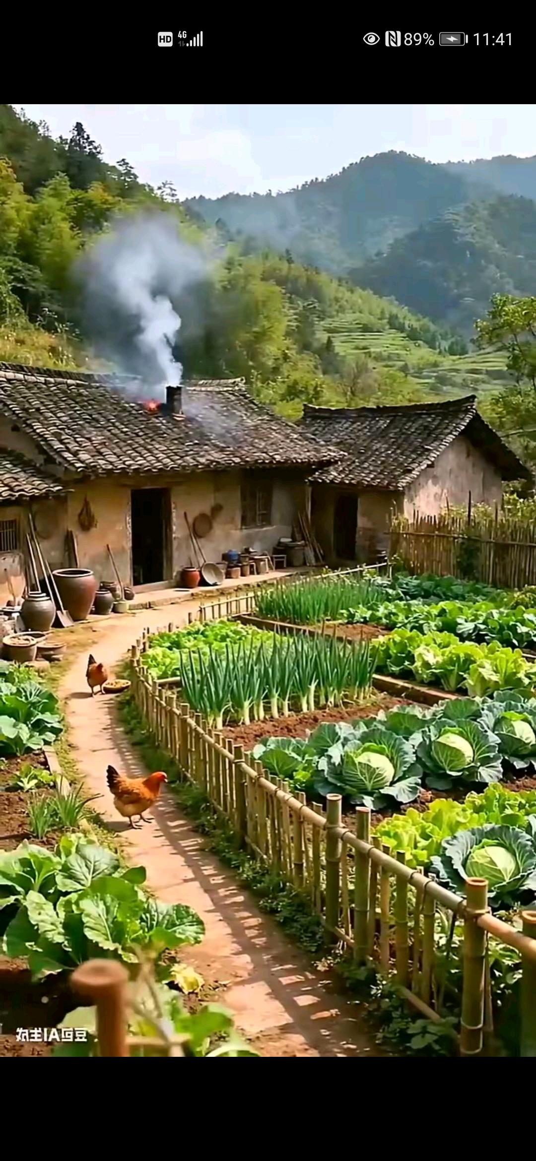 有人大代表提议，提高农村70岁以上老年人月养老金为5O0元。

这真是一个好的提