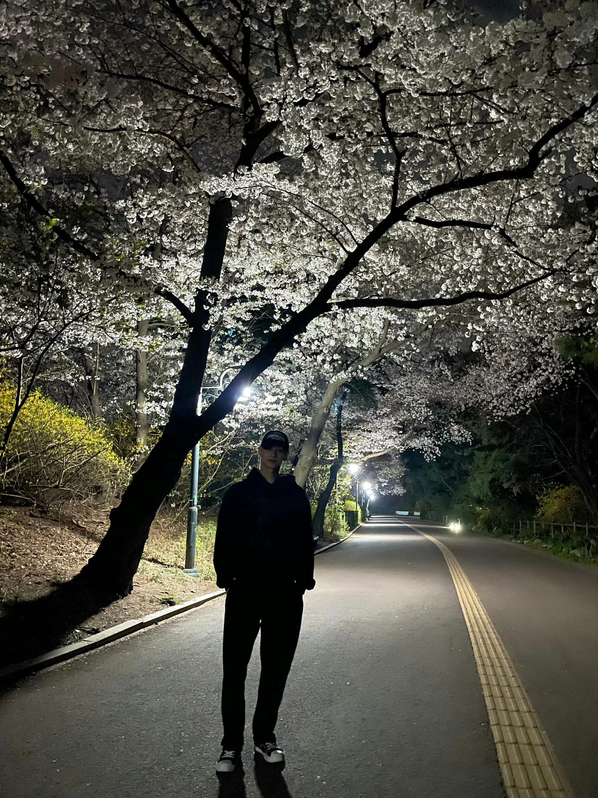 情人节快乐哥哥