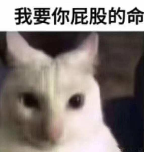 @ 苏墨宝宝 