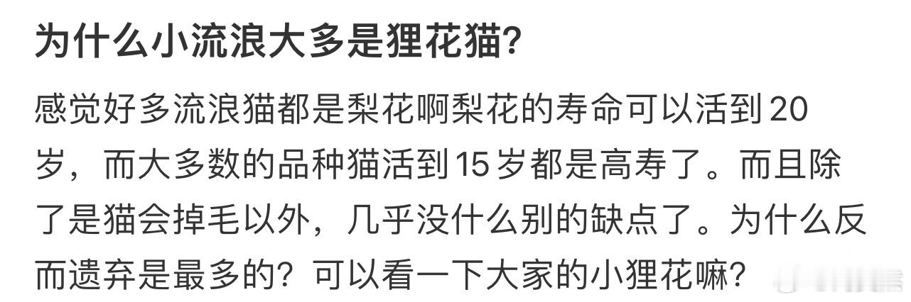 为什么小流浪大多是狸花猫❓ 