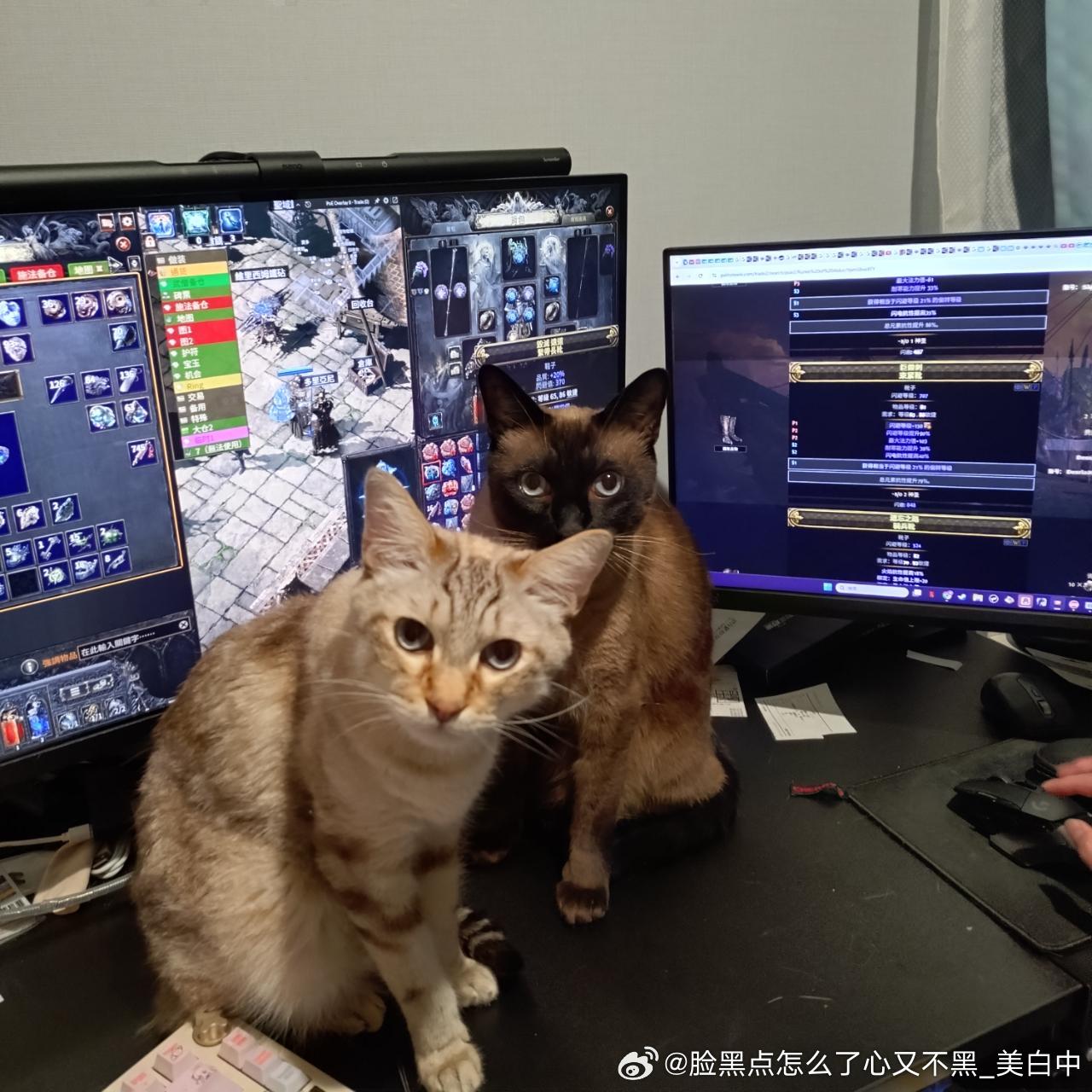 早安逼罗