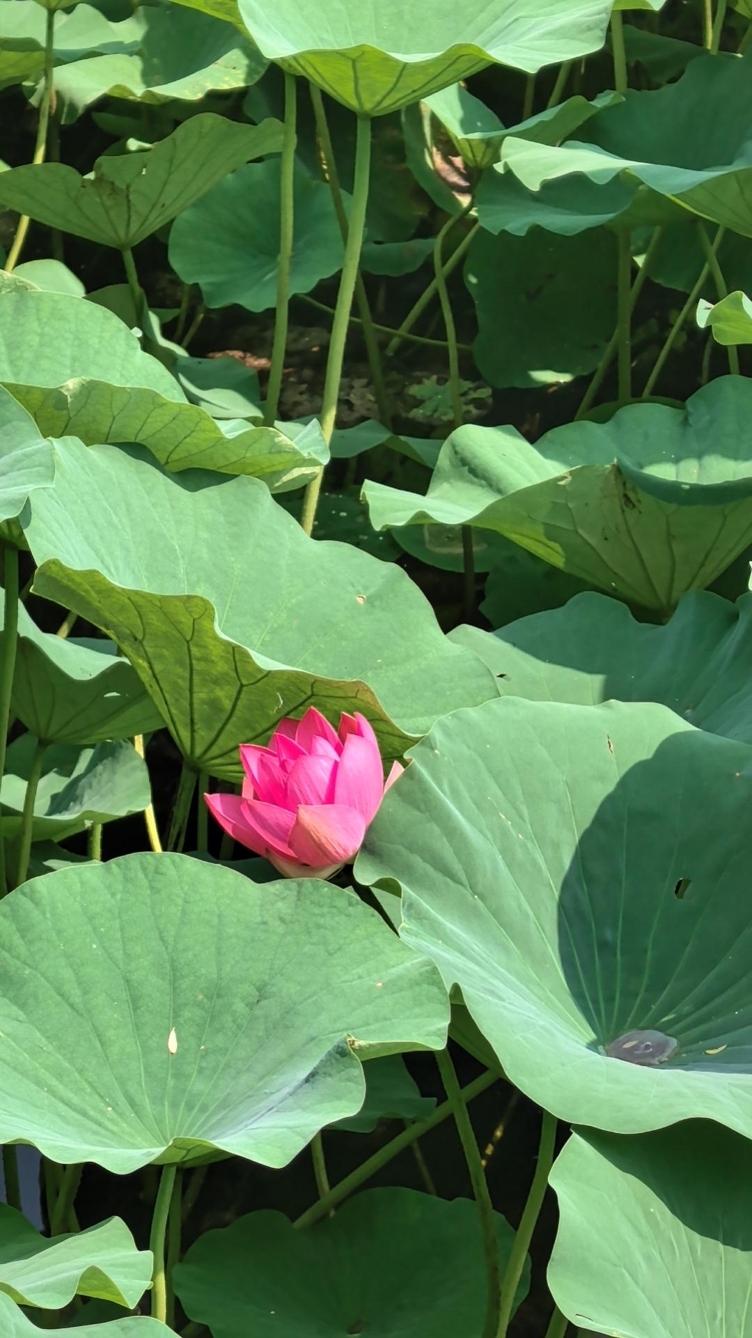 乌拉圭队的情怀值得我们学习
报道称，乌拉圭足协已经取消了球队的包机安排，球员们将