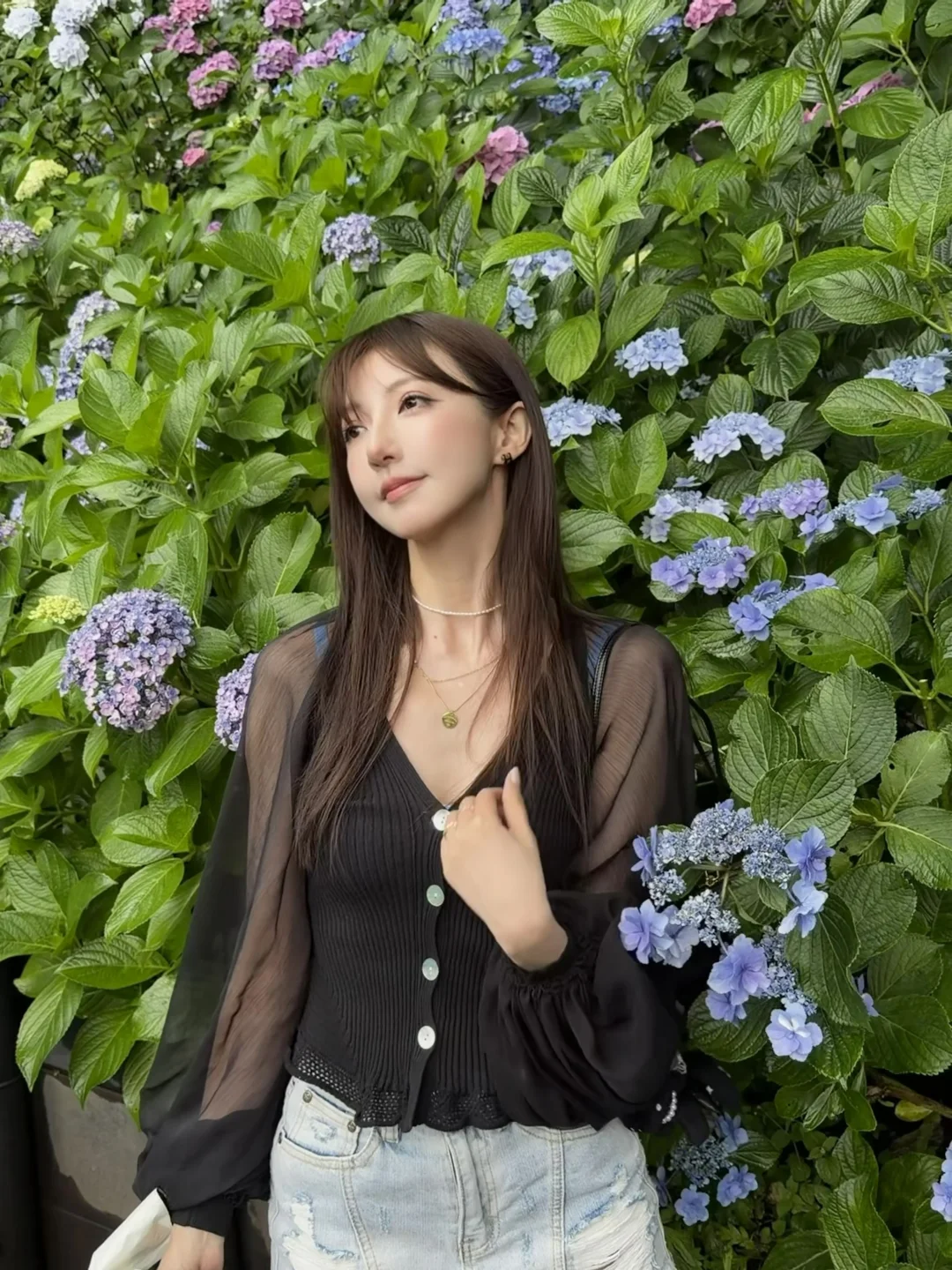 夏天的镰仓 被紫阳花淹没🪻