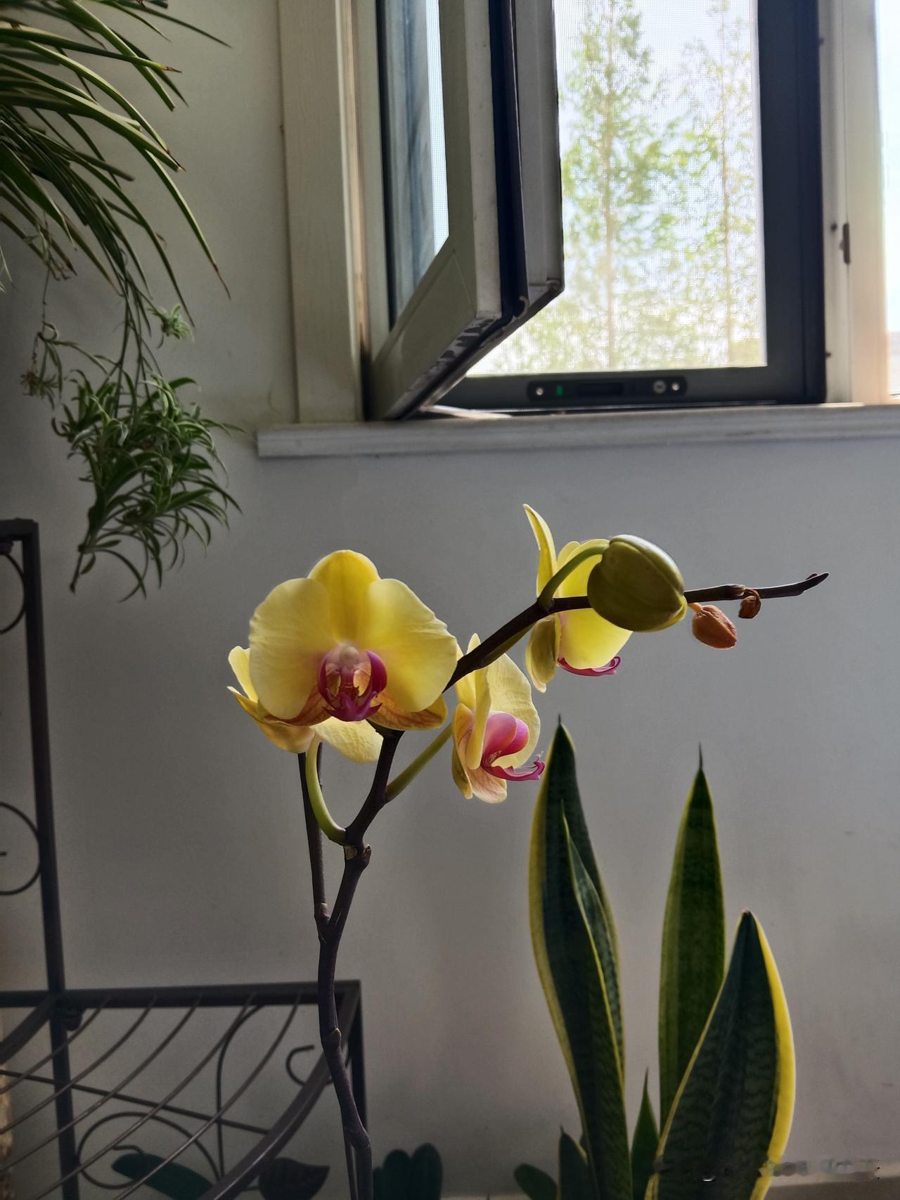 12生肖的贵人
属羊的人，贵人多是伴侣。
属蛇的人，贵人大多是自己。
属龙的人，