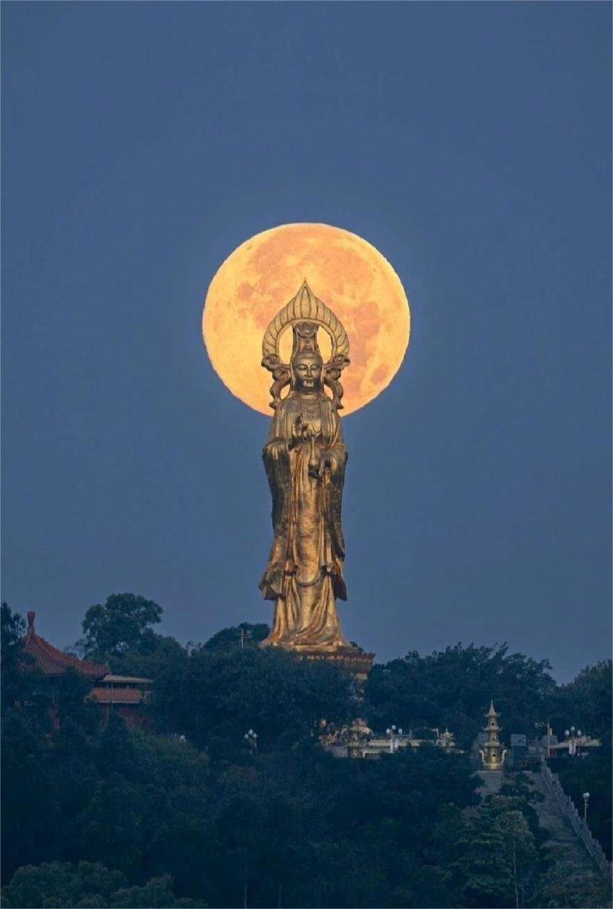 转发好运真的很灵 ​​​