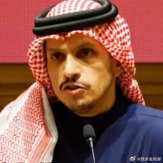 《卡塔尔正式宣布暂停跟中国的合同，而且短时间内不会恢复》卡塔尔正式宣布暂停跟中国