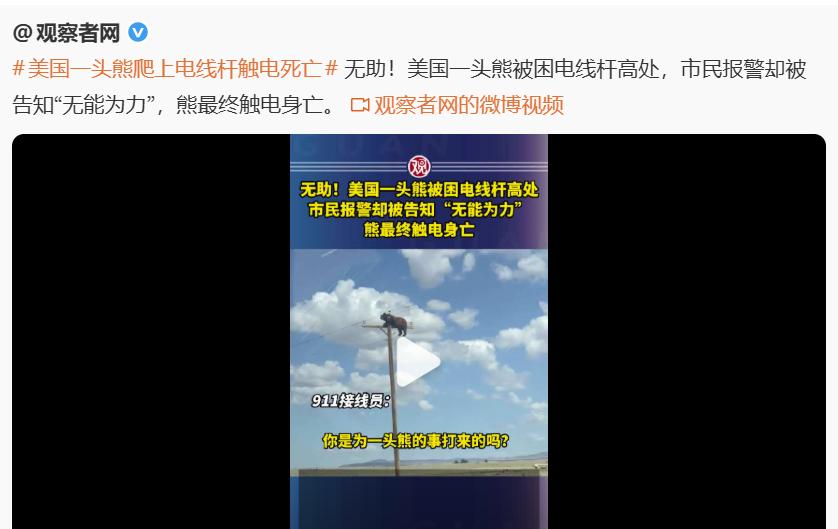 《意林》当年不是说，美国总统会为一只麻雀派战斗机吗？如今一头活生生的熊挂在电线杆