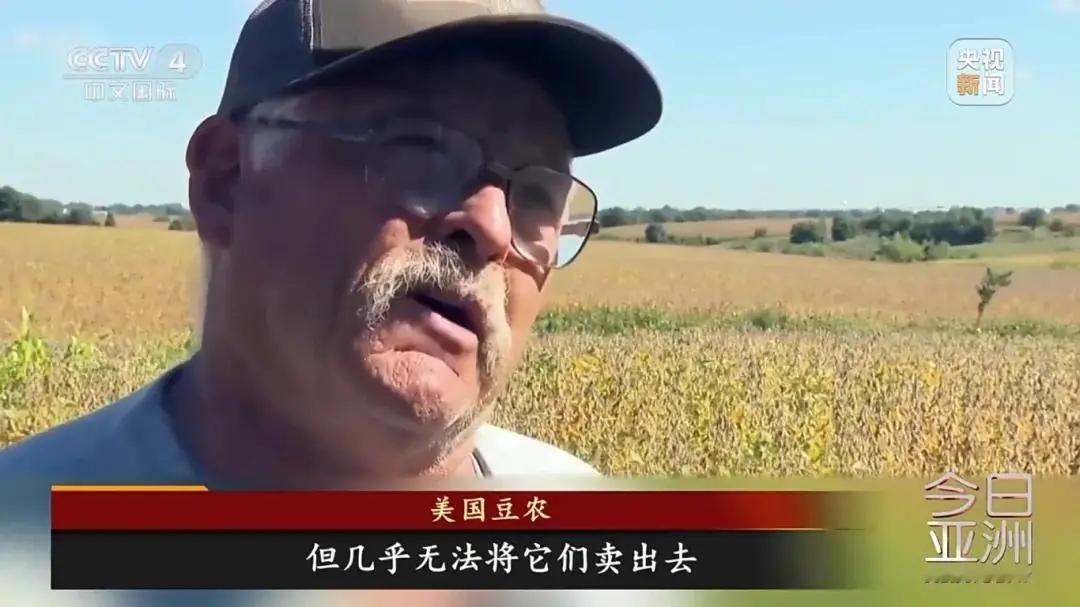 大豆对于美国农业及农产品出口至关重要
美国豆农明确表示，相比补贴，他们更想要稳定