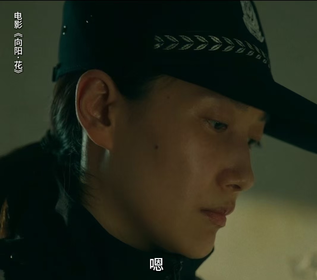 向阳花口碑刚看完《向阳花》，满脑子都是邓虹和高月香！啜妮演的邓警官那叫一个帅，行