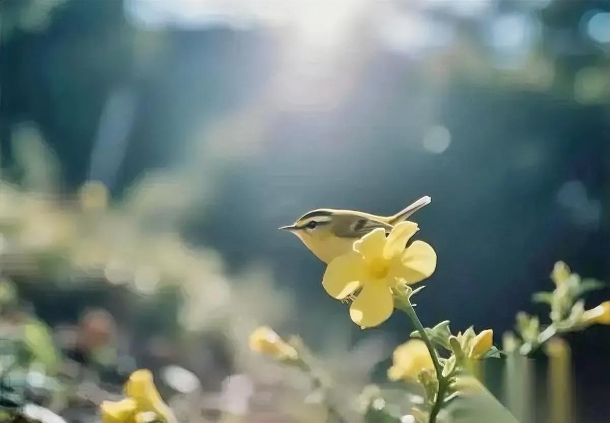 李奶奶进城仨月就跑回村

为啥？儿子家再好不是自己窝

都说养儿防老，可72岁的