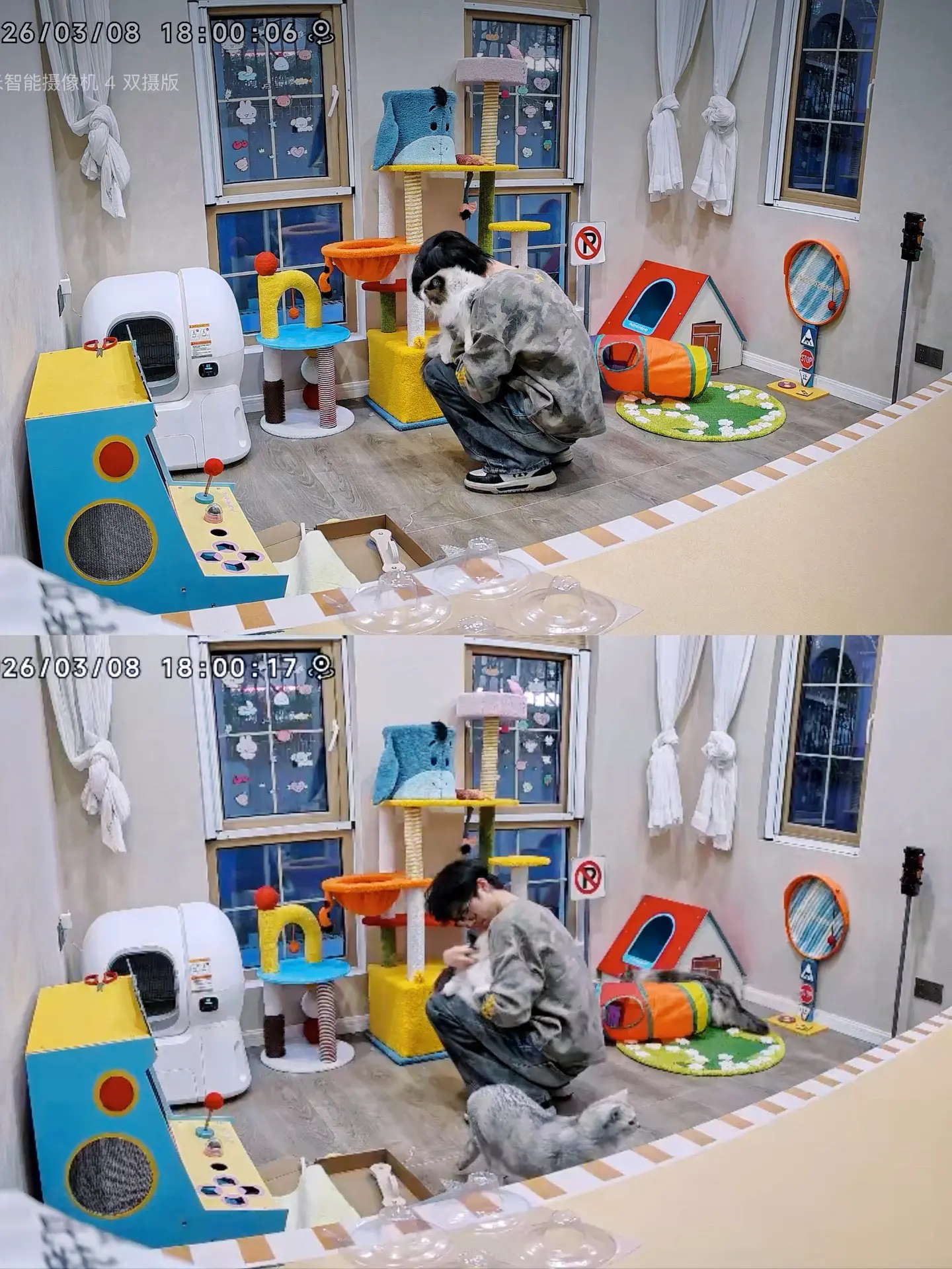 抱着让猫猫幸福的决心所以布置了 猫屎💕请降临到66球头顶上💕