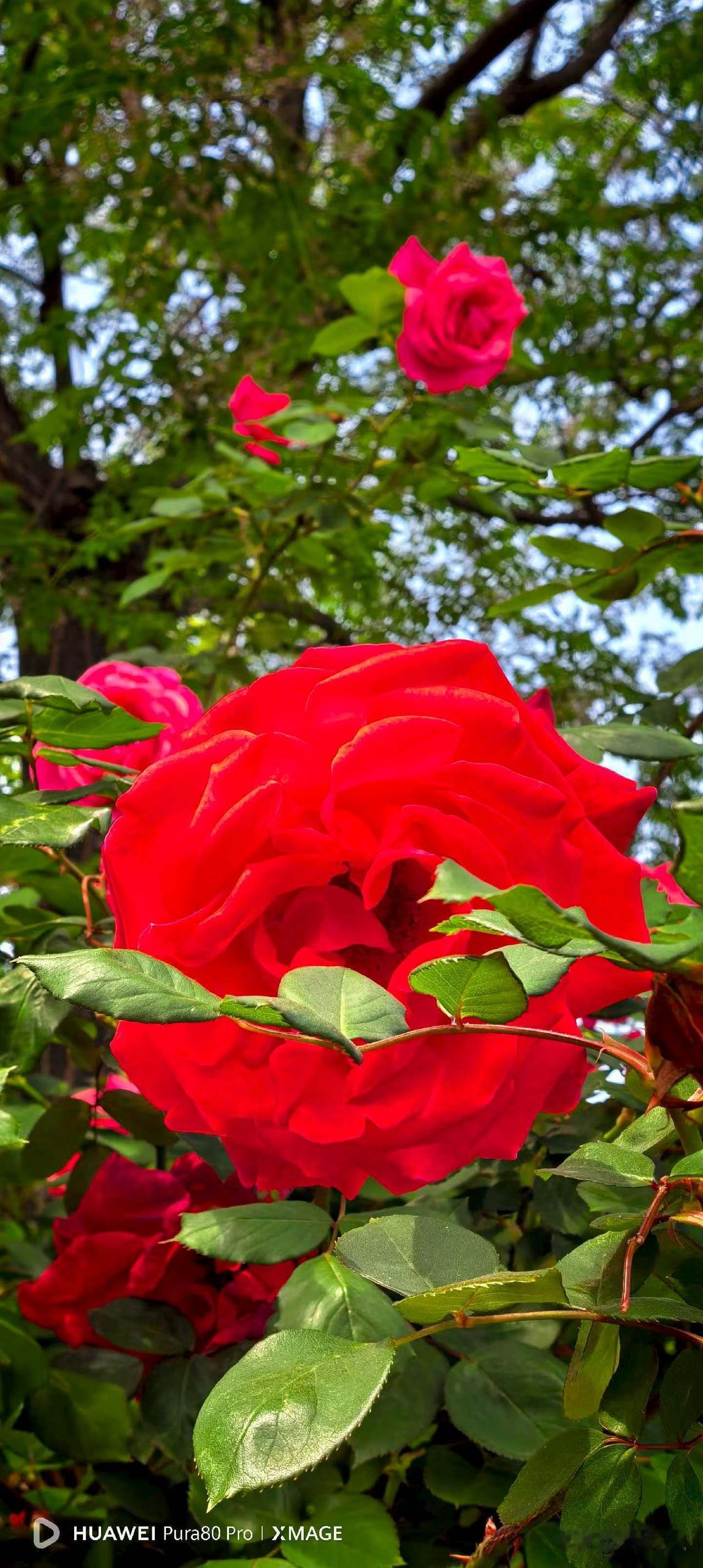 【小对联】
上：侠客；
下：……？