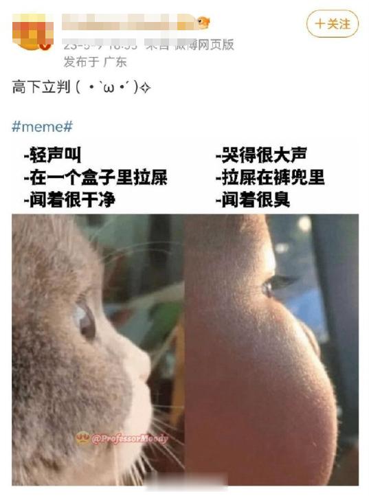 中国人厌孩情绪已经到了历史高度，是不是历史巅峰还不好说…关键是没人管，中国妇女报