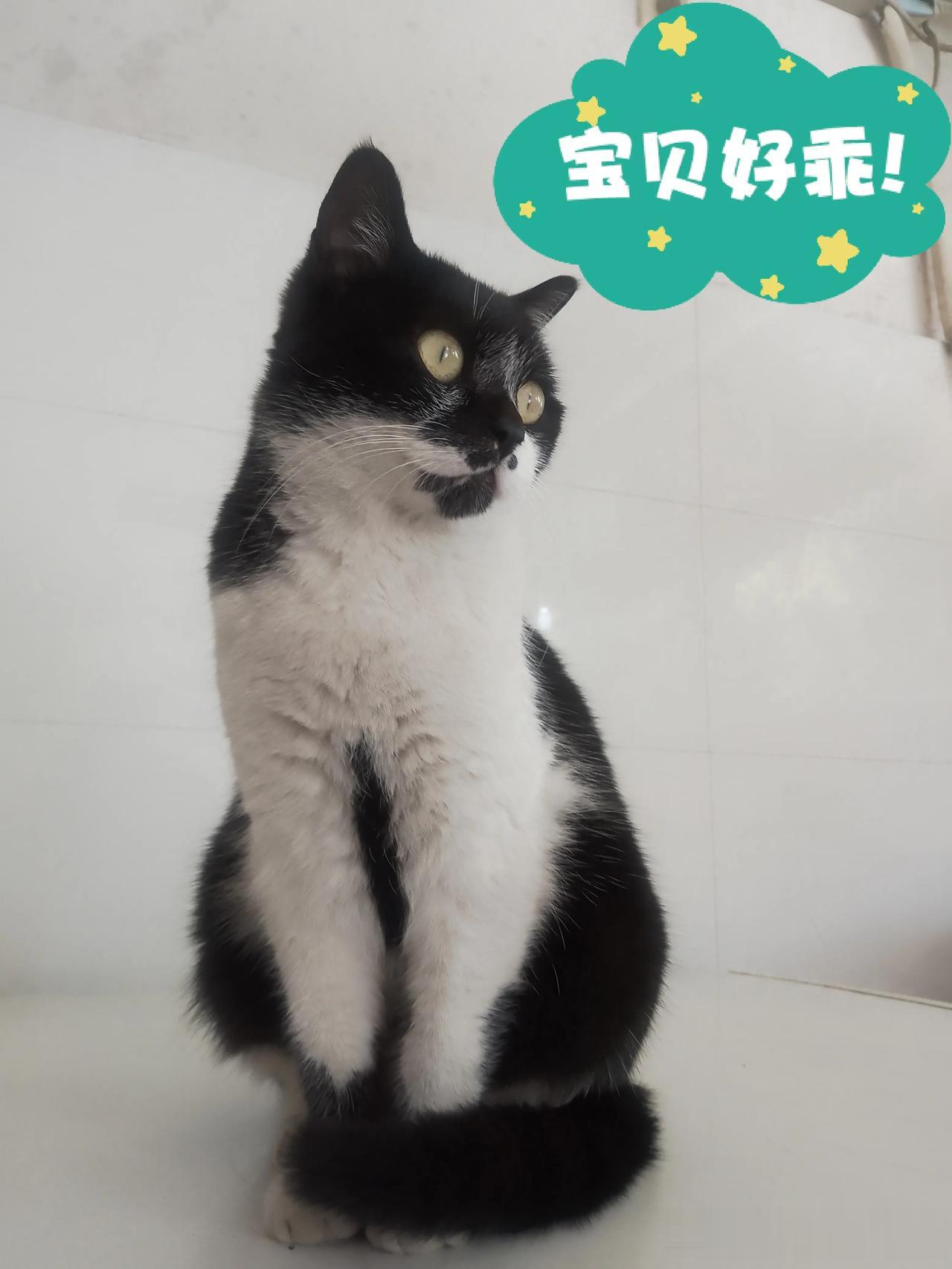  
如果两个人吵架或者心里有不愉快，只要有一个人退出就会化解冰释。