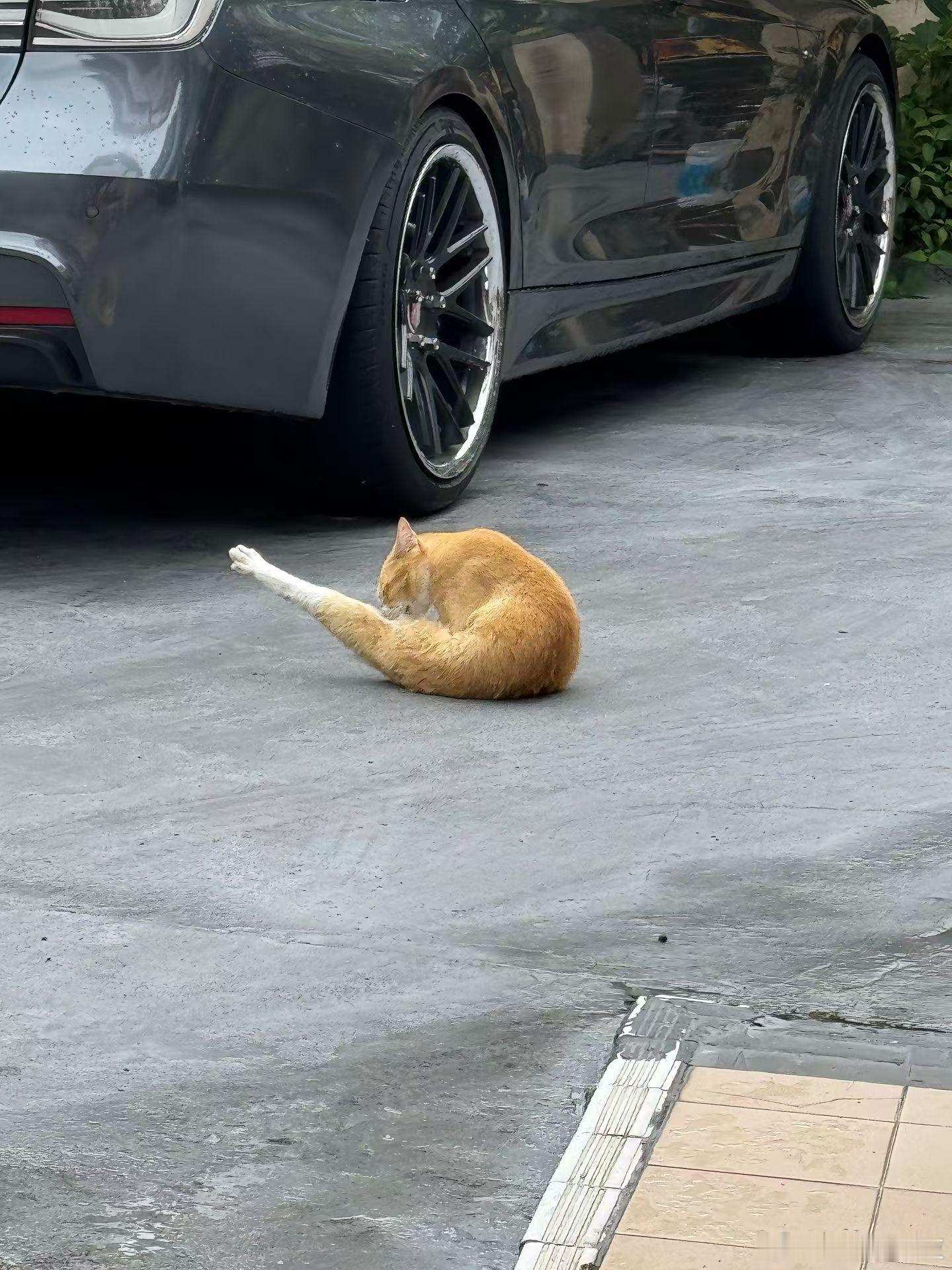 路边看到一个大鸡腿 