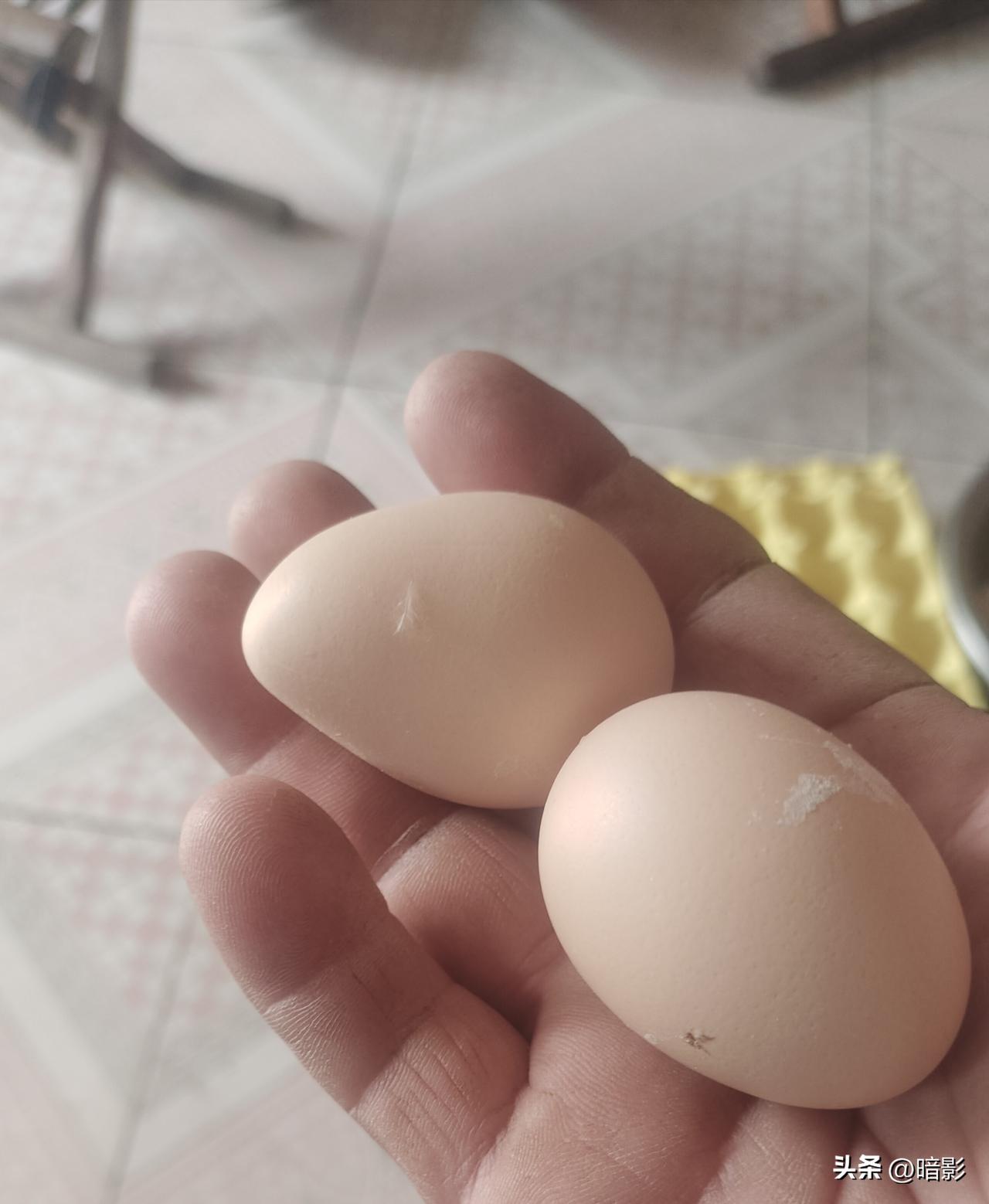 有人在抖音上提出了一个问题：人到中年了，没有任何爱好，他想请网友们给他找一个不烧