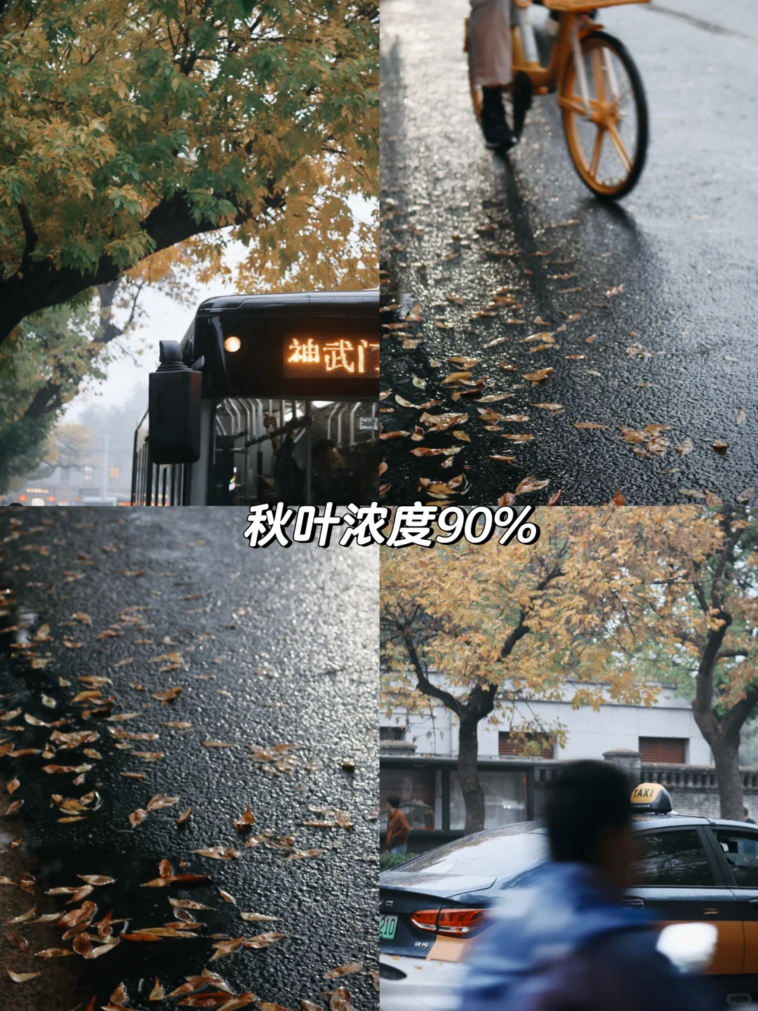 秋天快乐|北京经典赏秋路线🍂