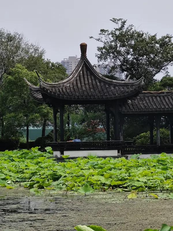 看到“荷亭笑语惊鸥鹭”这个上联，那画面感一下子就来了：在荷花簇拥的亭子中，人们欢