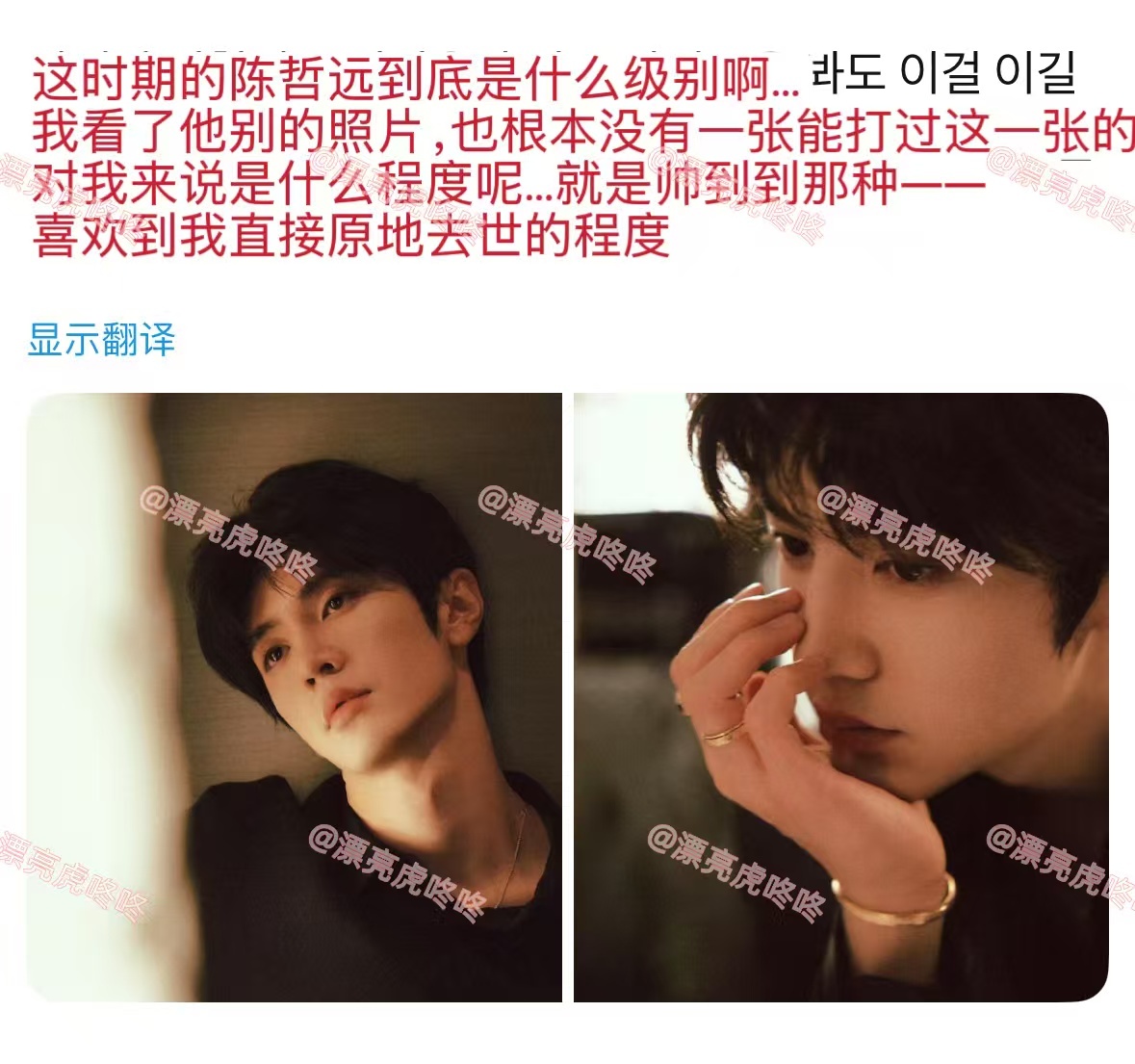 陈哲远中韩都是稀有帅哥 韩网用“九牛一毛”解锁颜值新释义，陈哲远这张脸果然是跨国