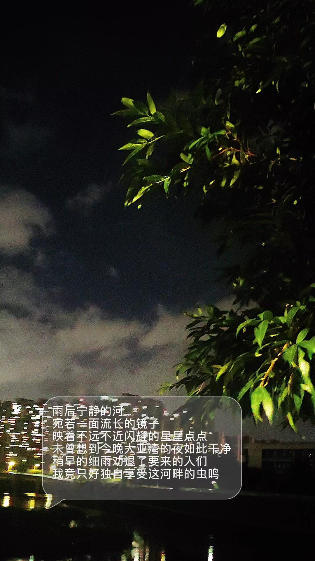 雨后的大亚湾，空气里都是清新的味道。傍晚那场细雨，意外地把人群都挡在了外面，剩下