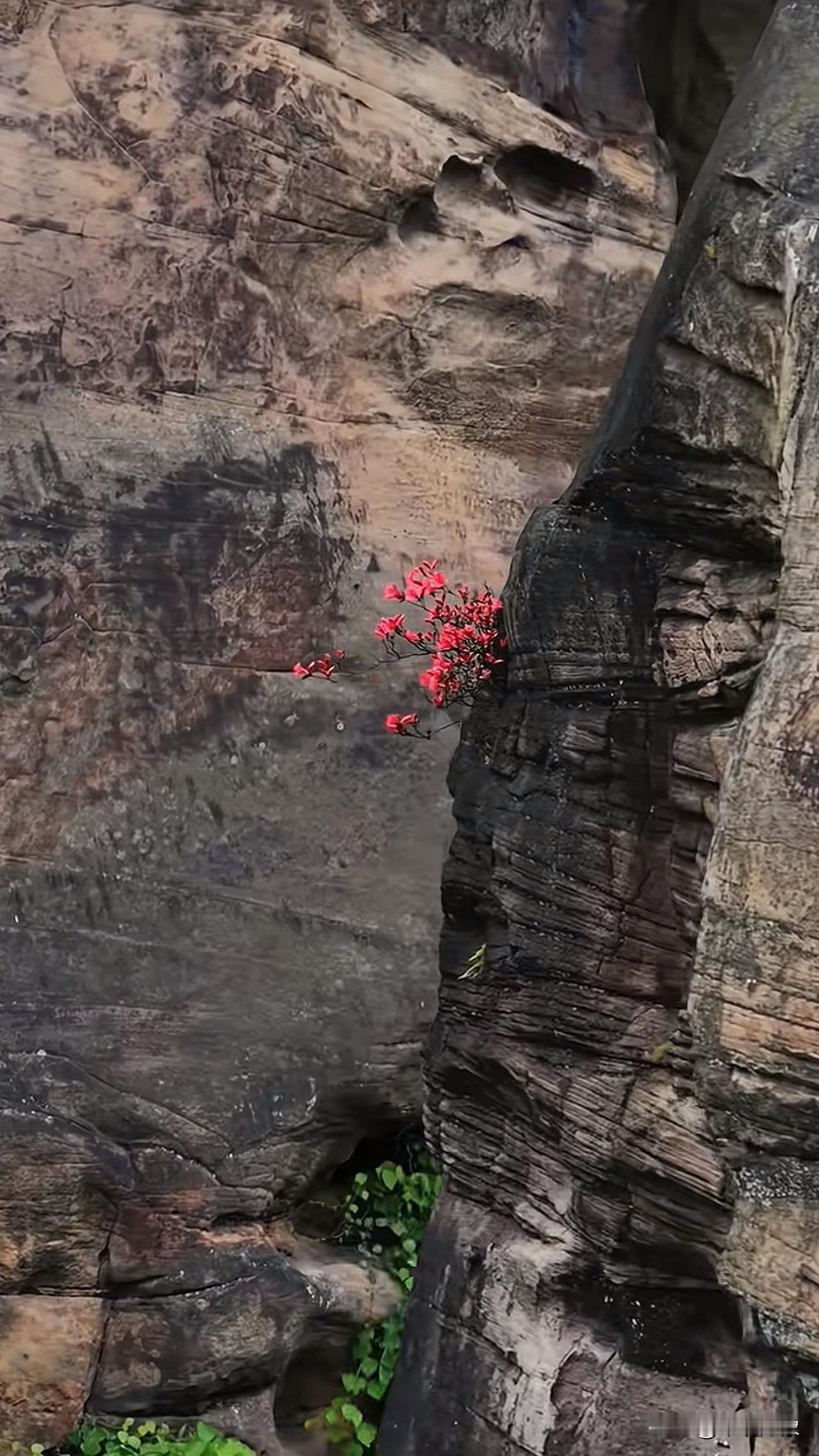 航拍，山崖上的一处惊艳