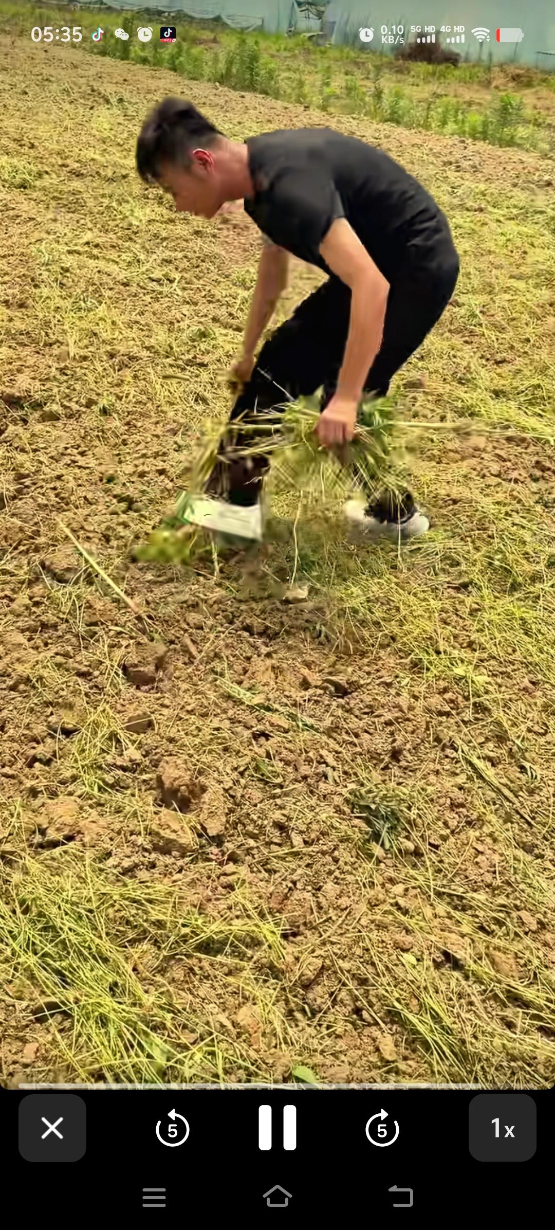 厉怀远的感情出现危机，明明是厉怀远出轨了别的女人，评论区都是支持厉怀远的，说厉怀
