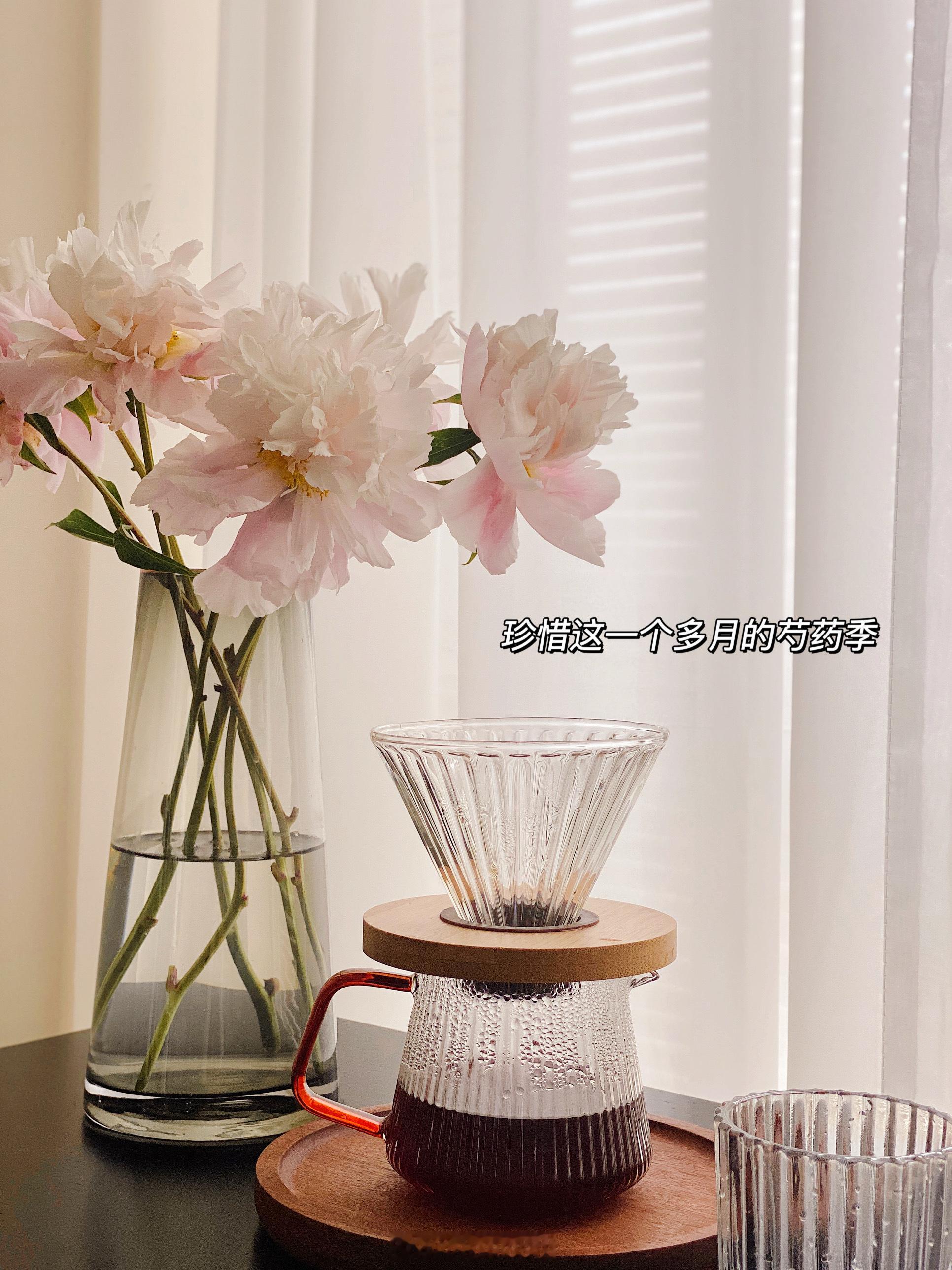 #日常# 周末愉快儿大家✨这两天🏠加入新成员～ ​​​