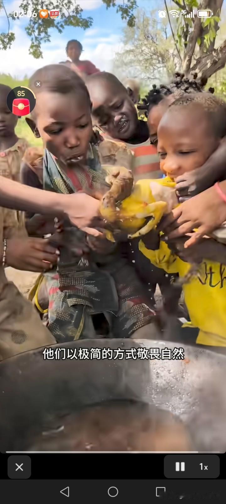 假如免费给你去非州哈扎比部落体验生活，同本地人一起同吃同住，你会去吗？