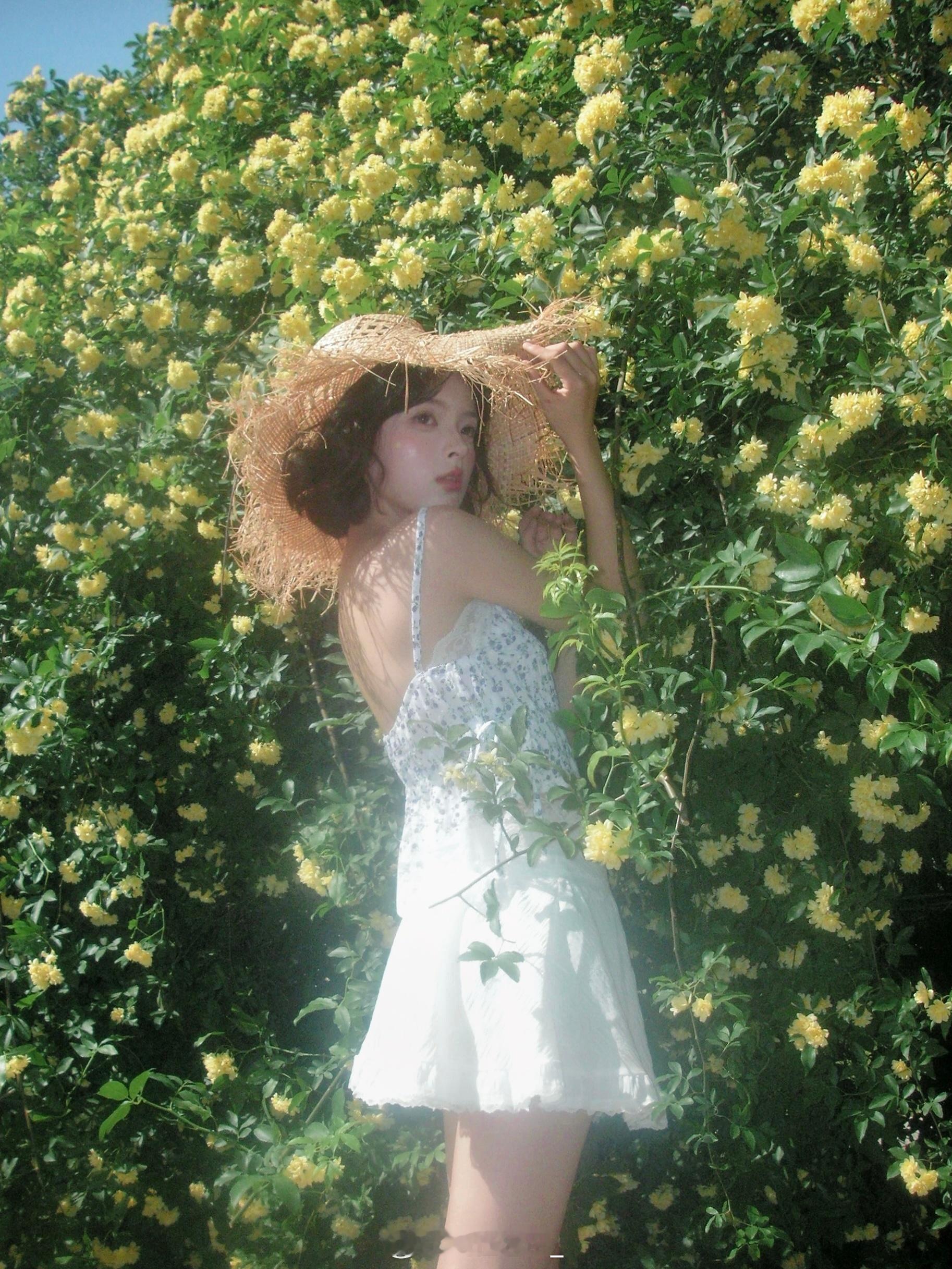 故事的小黄花🌼 ​​​