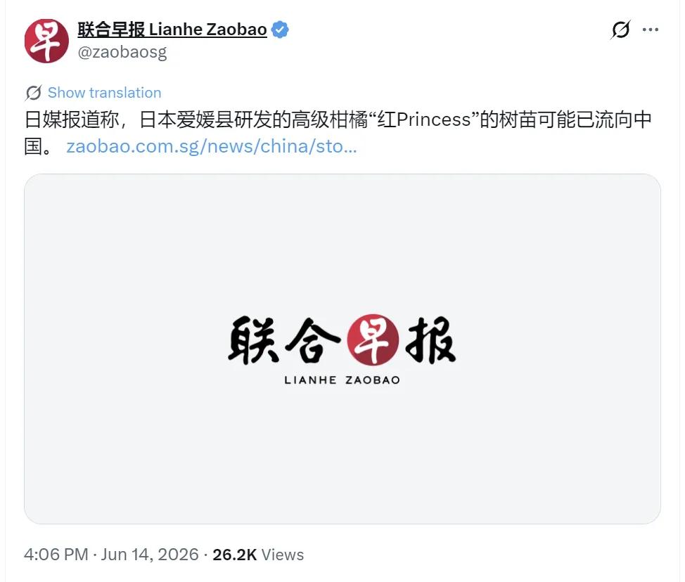 新加坡联合早报昨天（6月14日）报道：“日媒报道称，日本爱嫒县研制的高级柑橘‘红