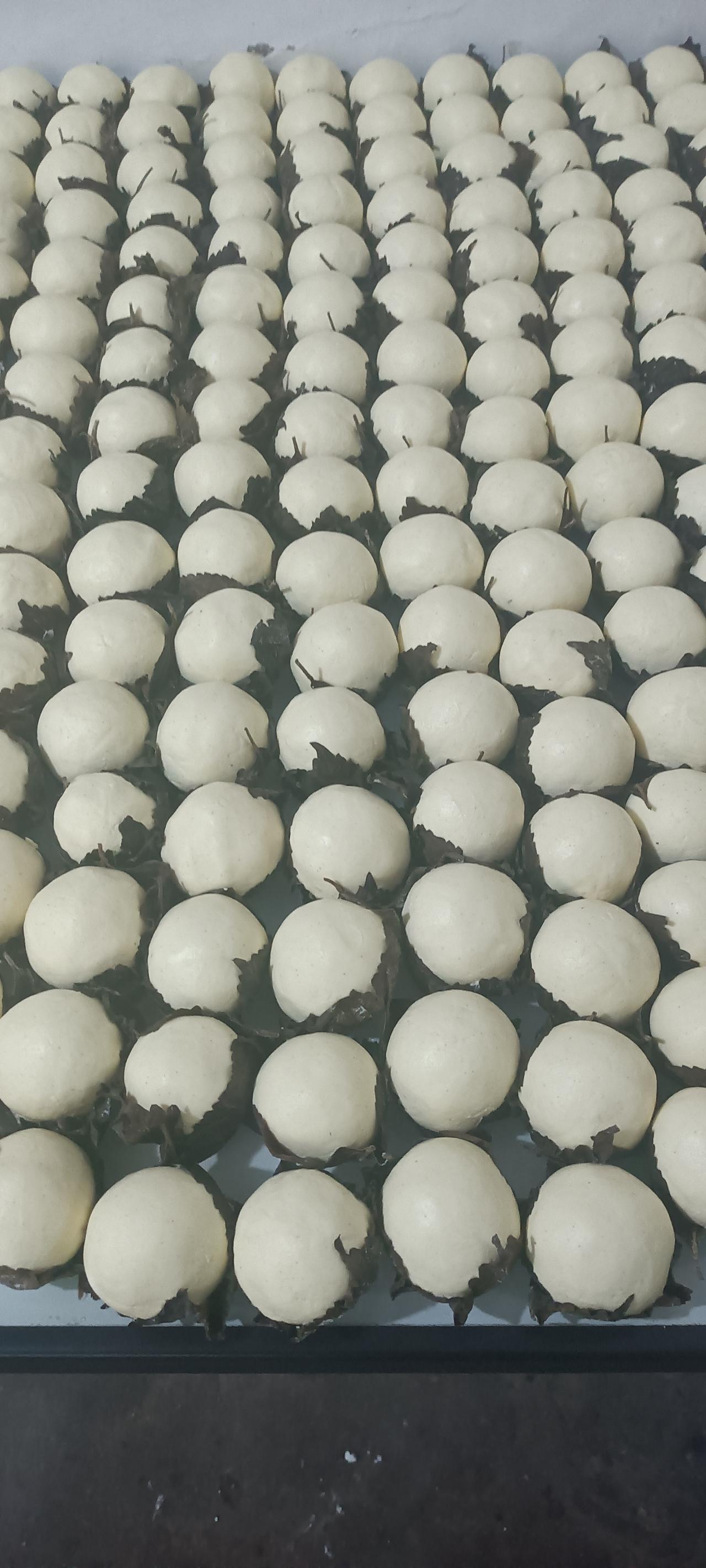 累！但快乐着！
我每天忙忙碌碌，真的是不得闲！
昨晚都没更新，因为去帮二嫂家包豆