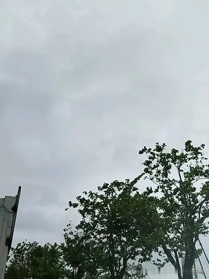 早安，亲爱的朋友。窗外的雨滴正敲着屋檐，像初夏按捺不住的性子，说下就下，没有半点