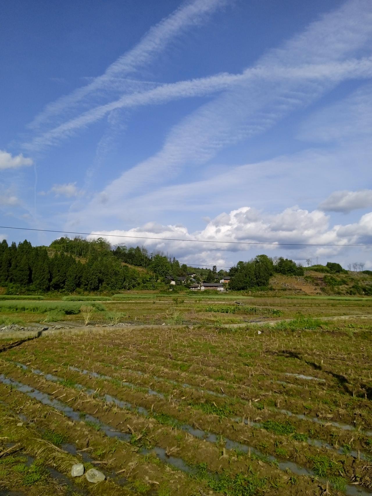 “无人帮衬的日子，
看似很苦，
实则也是一种福气，
因为不用还。”
我几乎不求人