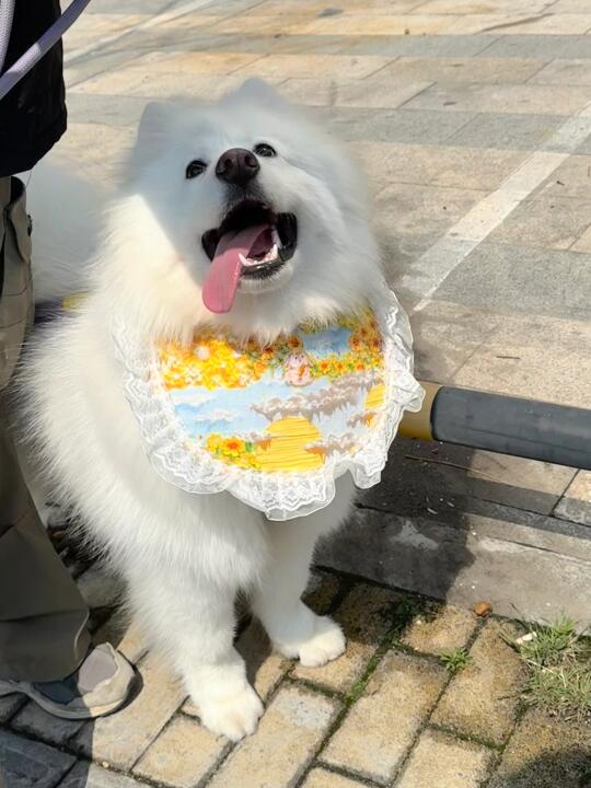 他真的好可爱！！！
