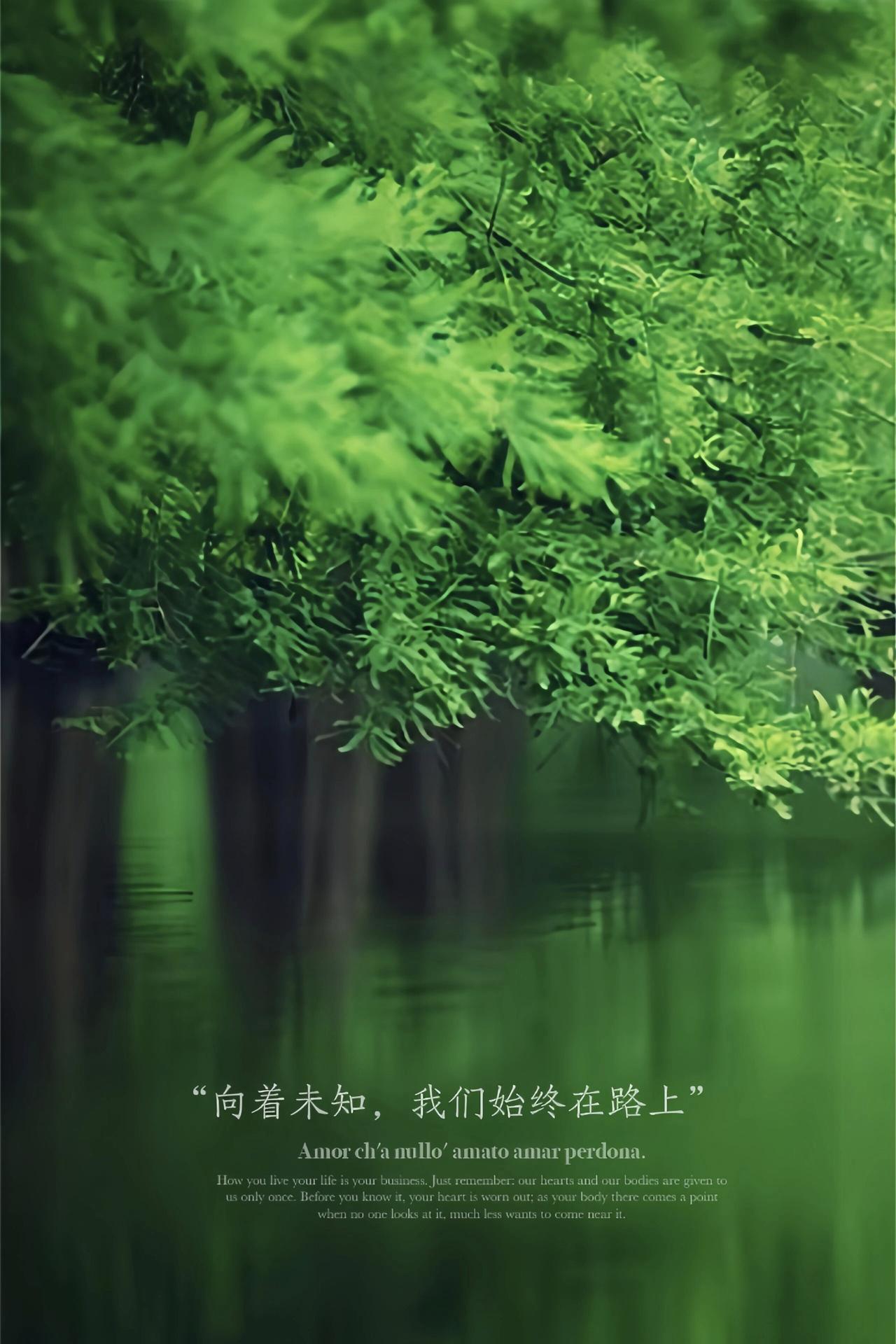 苦尽甘来，天蝎转运在即！
2026下半年贵人相伴左右，
事业破局上扬，财运稳步暴