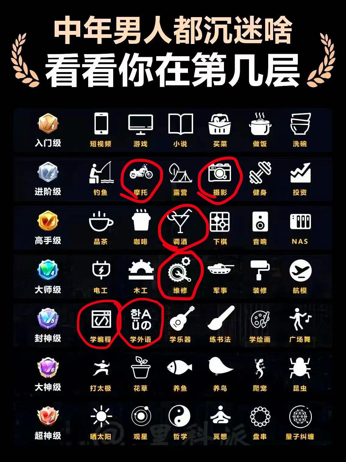 好好好 我可算是顶级中年（男）人了红烧小狮子头佑酱的日常 上海