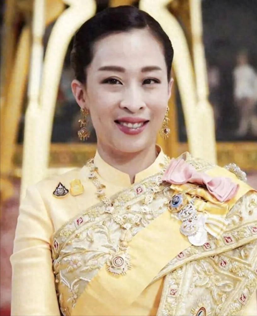 康奈尔法学博士、联合国官员、驻奥地利大使、皇家卫队上将参谋长。这份履历，属于一个