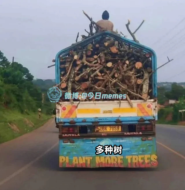 我建议啊（9gag）今日meme[超话] 今日memes ​​​