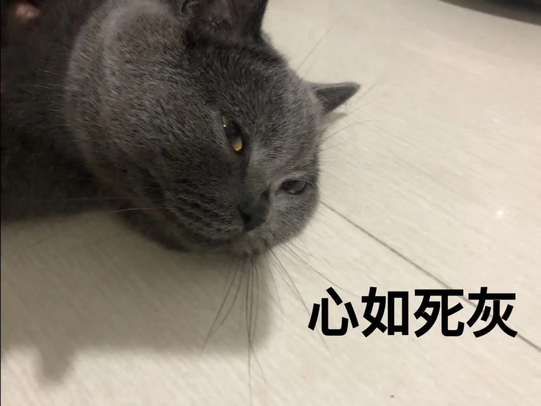 远嫁的我开始焦虑了