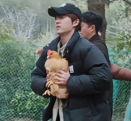 全人类请向张钥沅道歉！我们钥沅很会抱鸡啊！感觉他胆儿真大，咋不怕鸡啄他十个勤天 