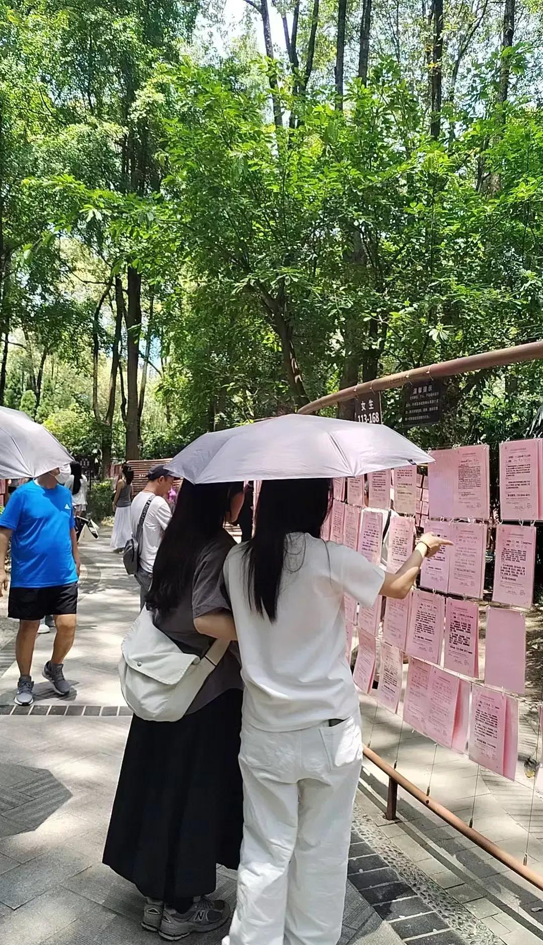相亲只要男方父母有社保。

看不懂这个账，婚后就等着吃亏吧。

公园相亲角，一个